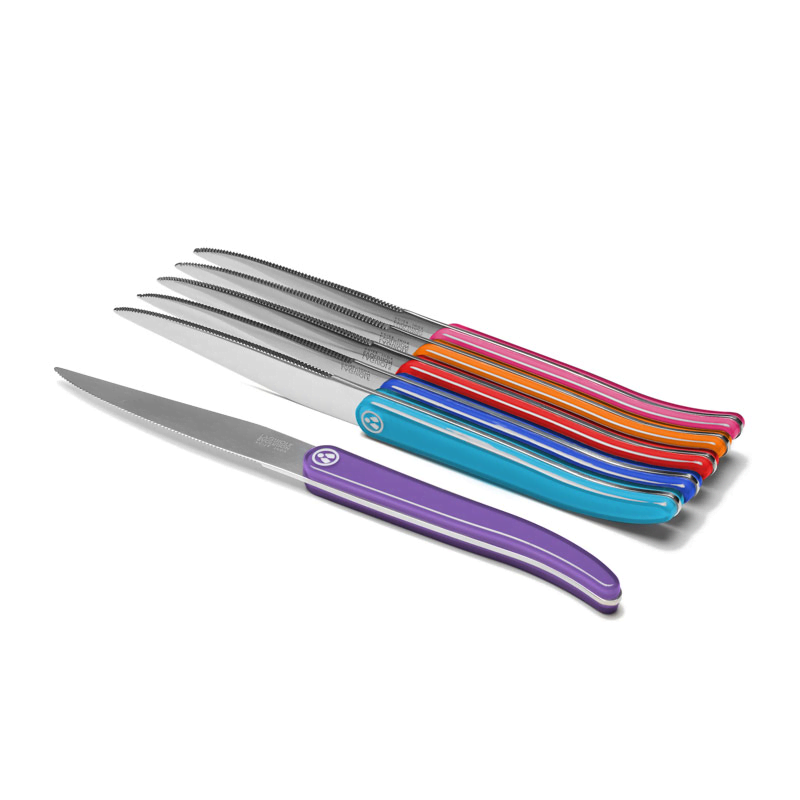 Evolution Laguiole Steakmesser 6 Stück bunt