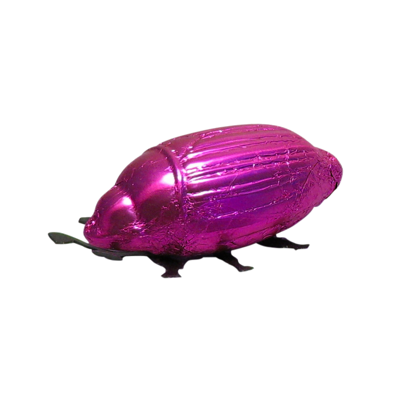 Oschätzchen Maikäfer VM Neonpink 9cm 50g