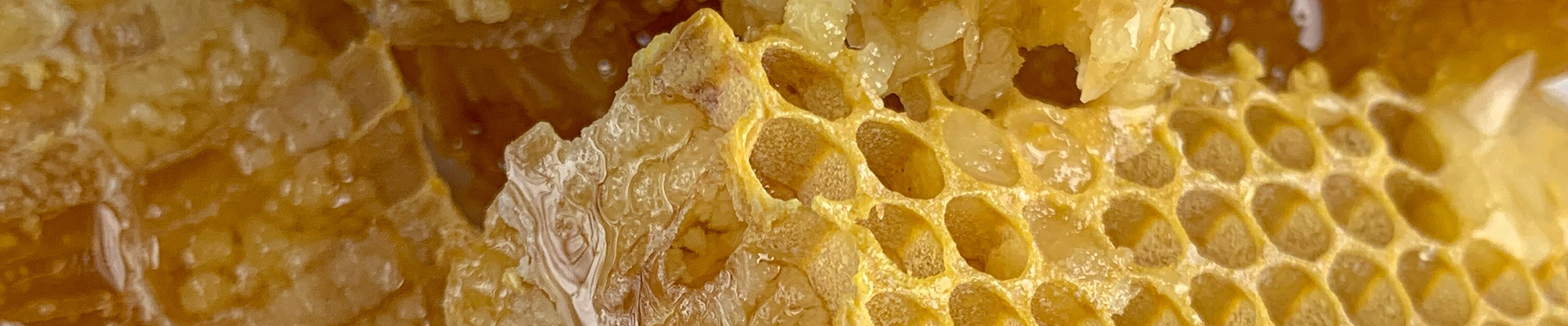 manuka-honig-wabe manuka-honig-wabe
