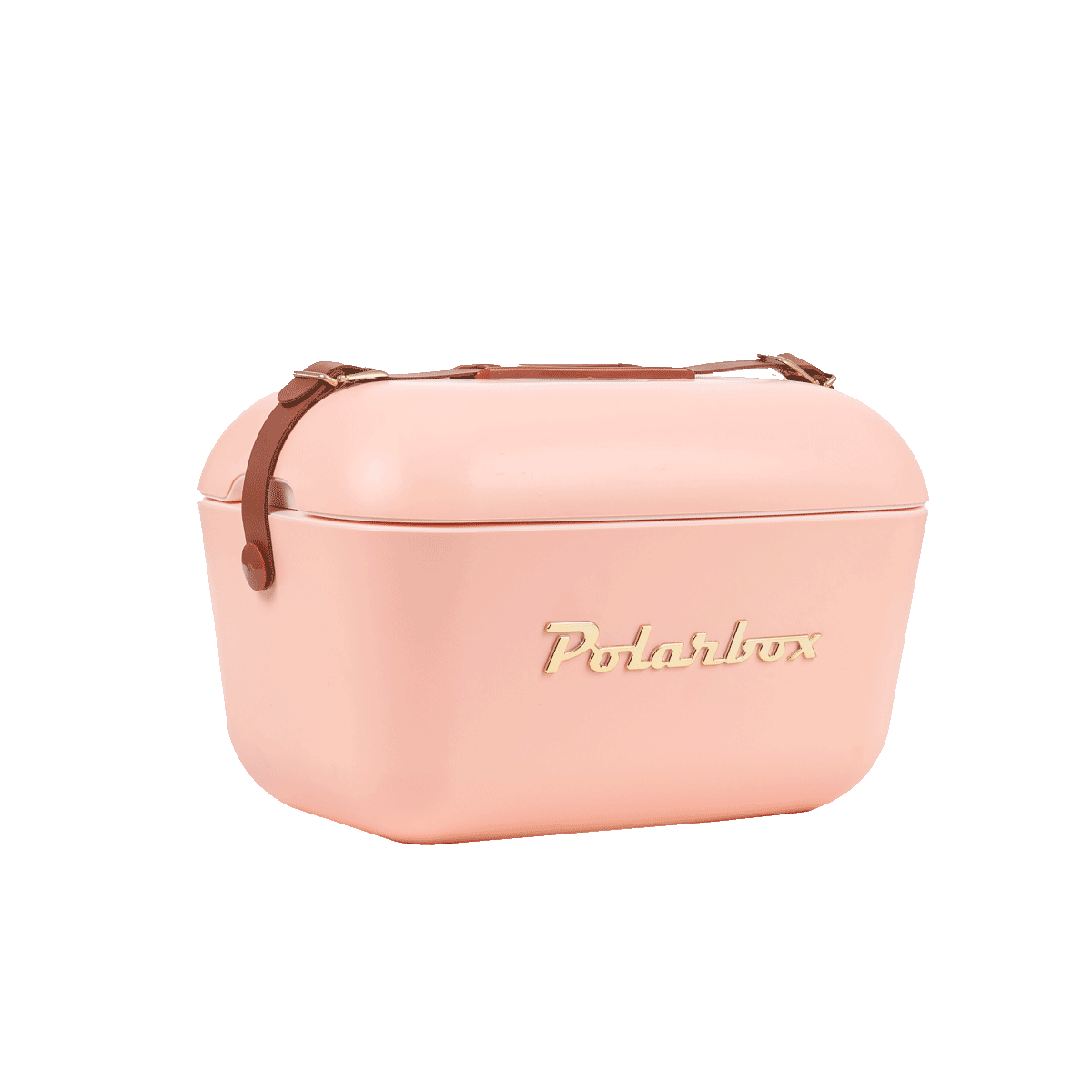 Polarbox Kühlbox Mini 6l Gold Matcha 