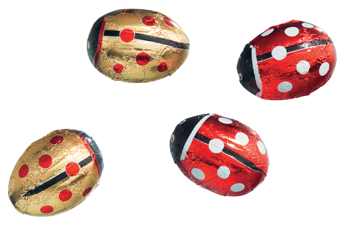 Caffarel Marienkäfer Vollmilchschokolade 1kg EINKAUF immer 5kg