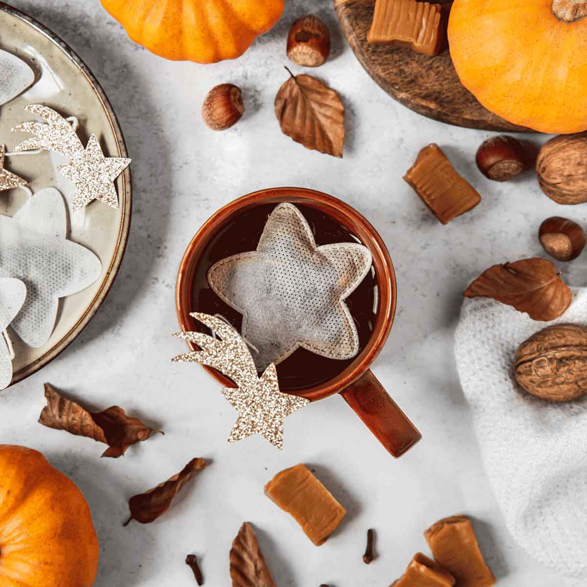 Tea Heritage Stern Grüner Tee mit Jasmin Beutel 5 Stück 10g