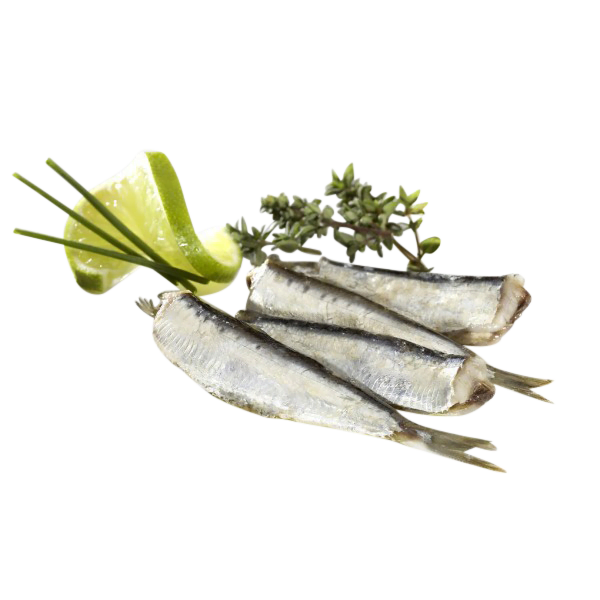 Los Peperetes Jelopa Sardinas 120g