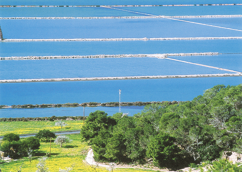 Sal de Ibiza Fleur de Sel mit ibizenkischen Kräutern 140g
