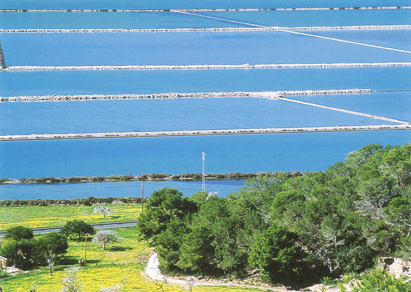 Entdecken Sie Salz neu - mit Sal de Ibiza Sal_de_Ibiza_Salzfelder