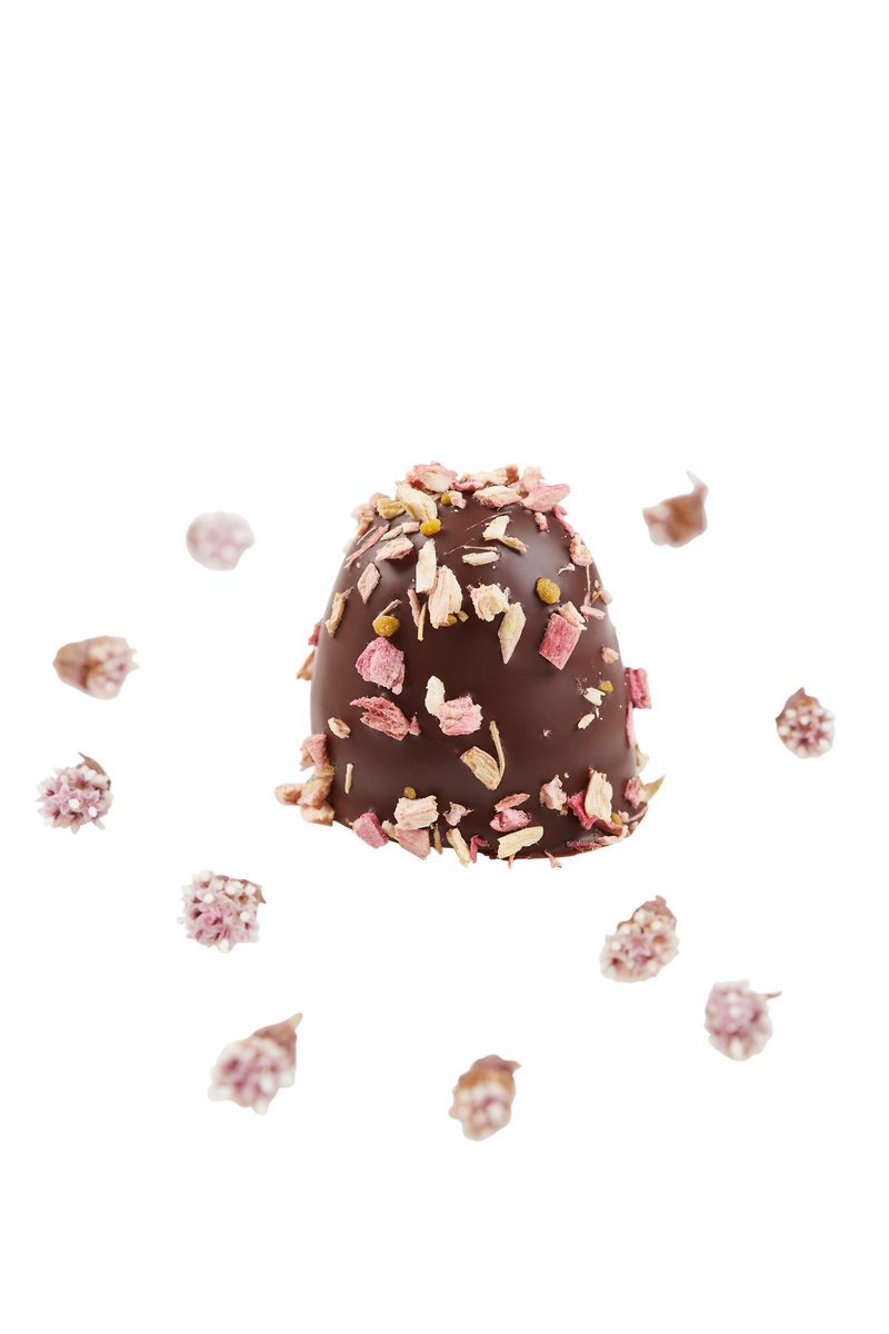 Summerbird Minischaumküsse Heartland Erdbeer Bio 6er