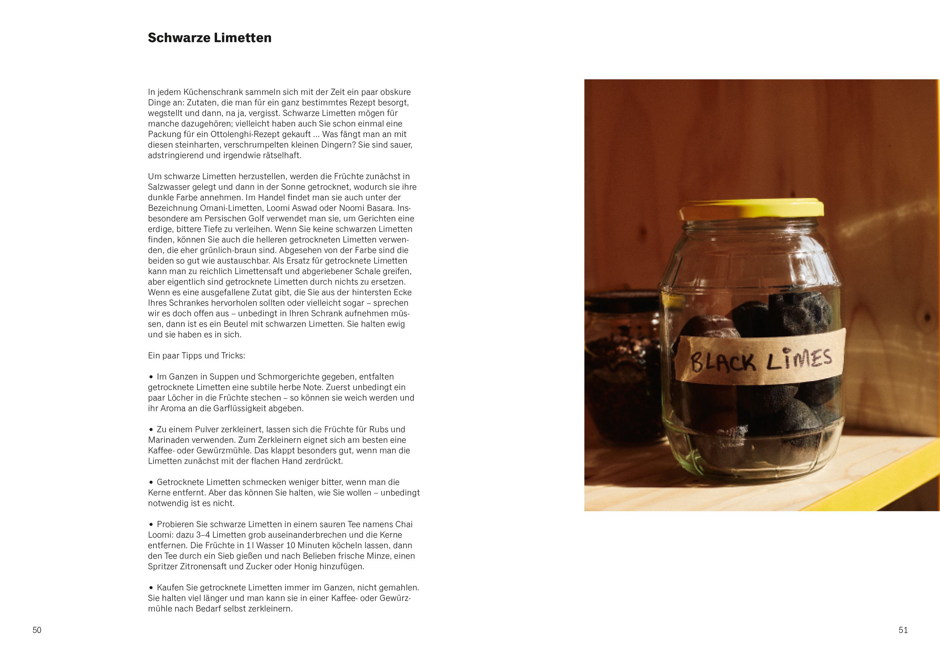 Yotam Ottolenghi Test Kitchen - Shelf Love Kochbuch Yotam Ottolenghi Test Kitchen - Shelf Love Kochbuch