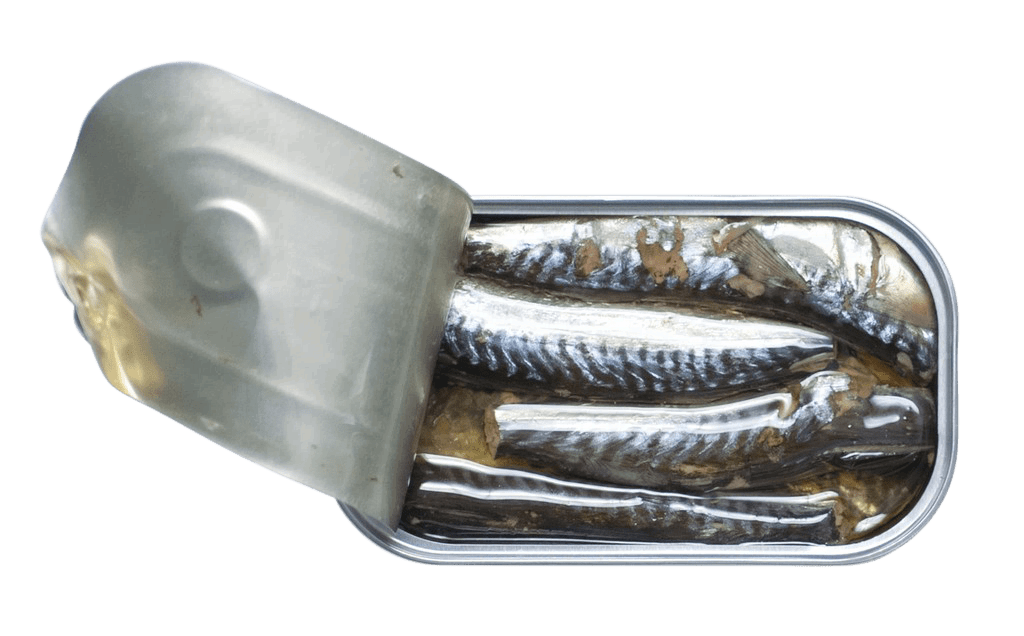 Jose Gourmet Kleine Makrelen in Olivenöl 120g