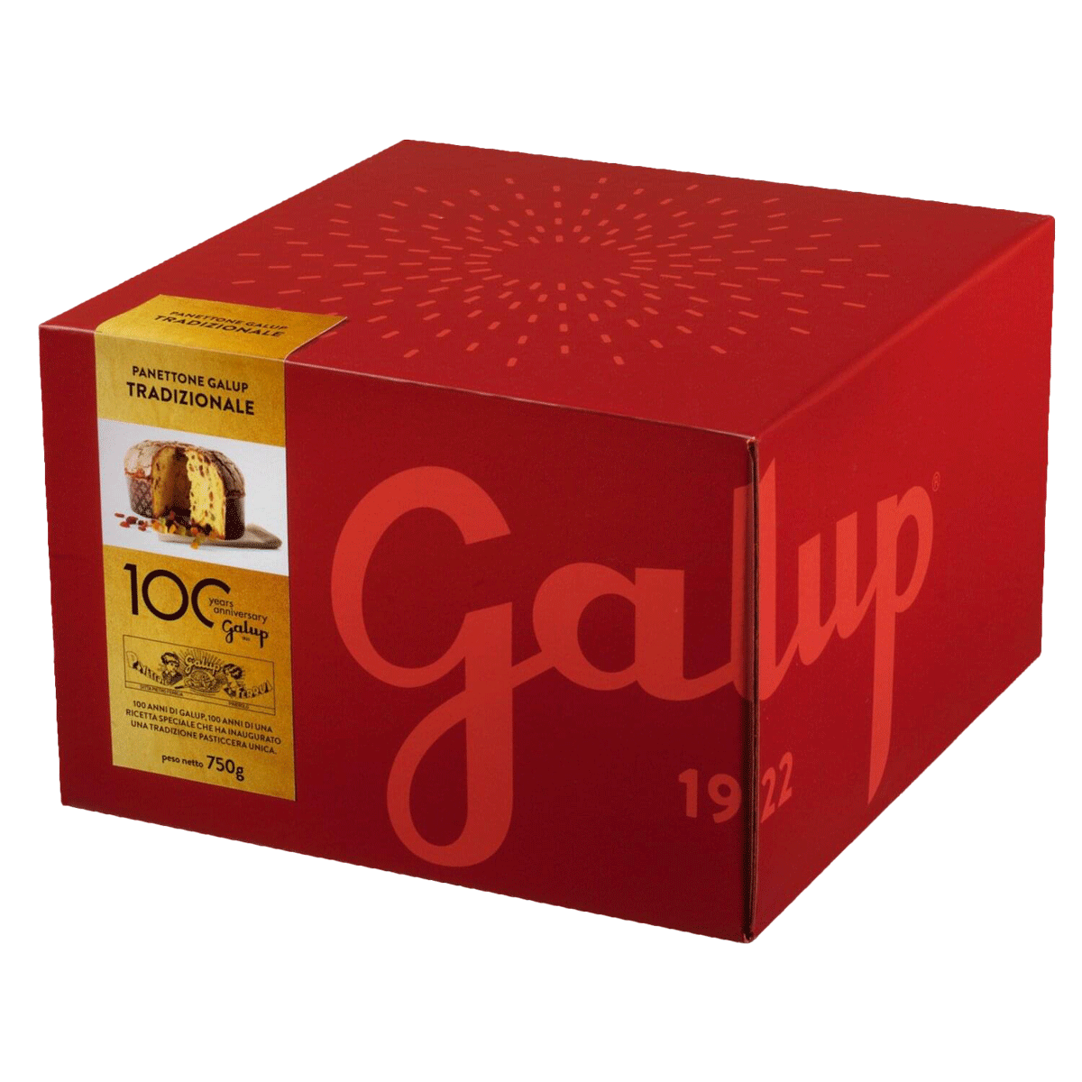Galup Panettone Tradizionale 750g 