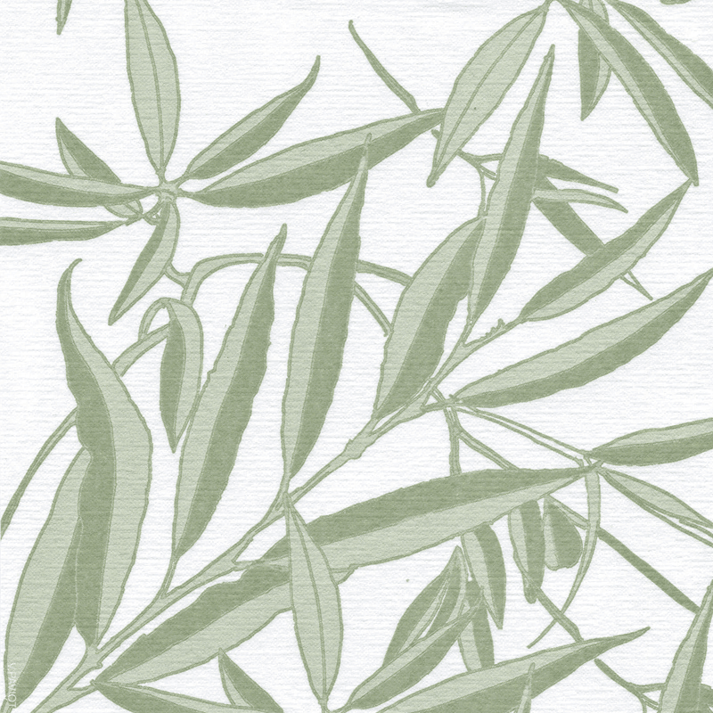 Francoise Paviot Servietten Saule 20 Stück