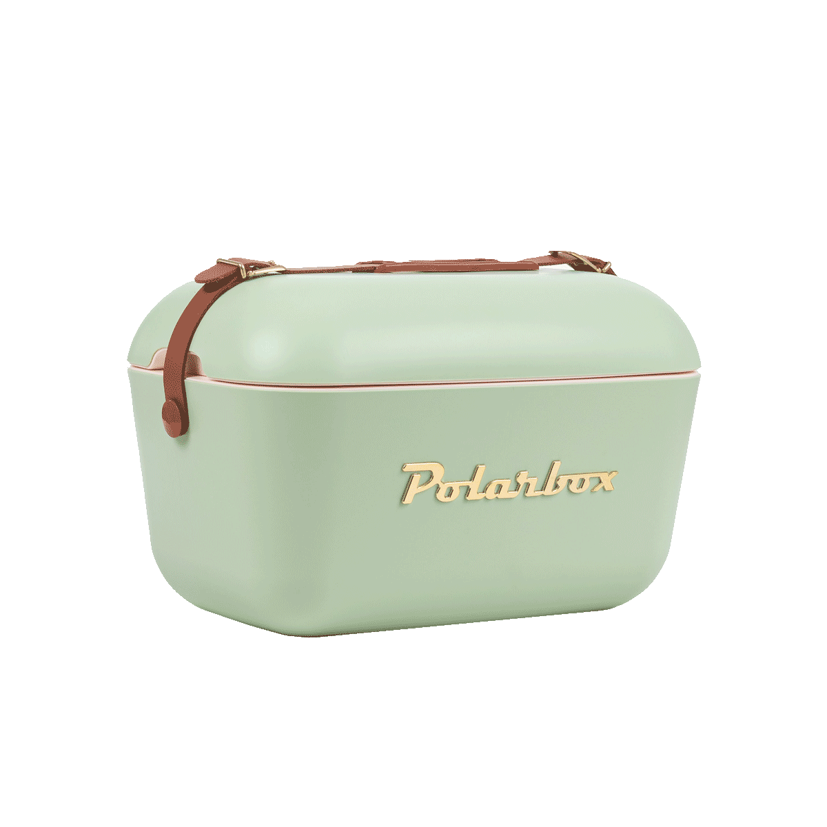 Polarbox Kühlbox 20l grün 
