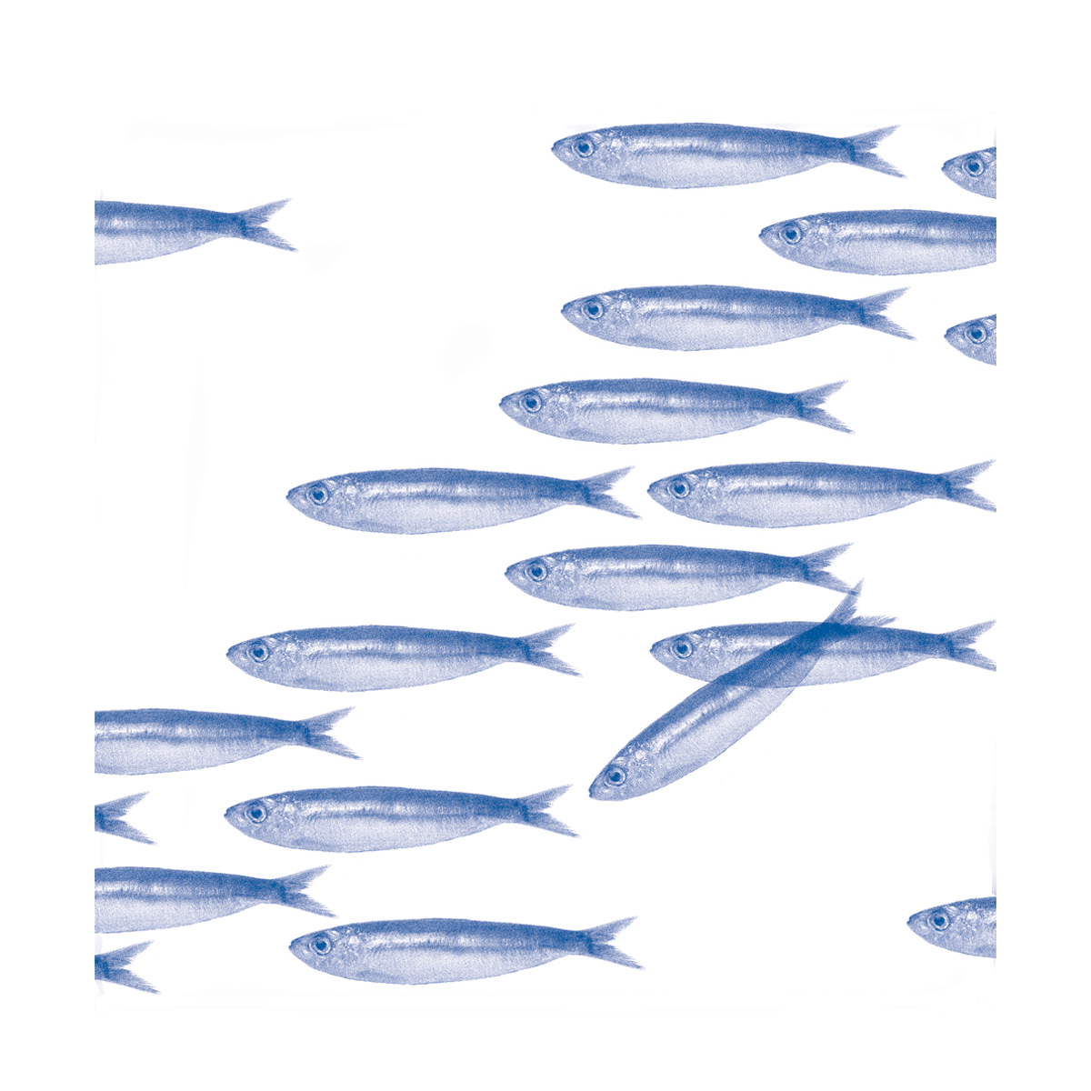 Francoise Paviot Sardine Servietten 20 Stück