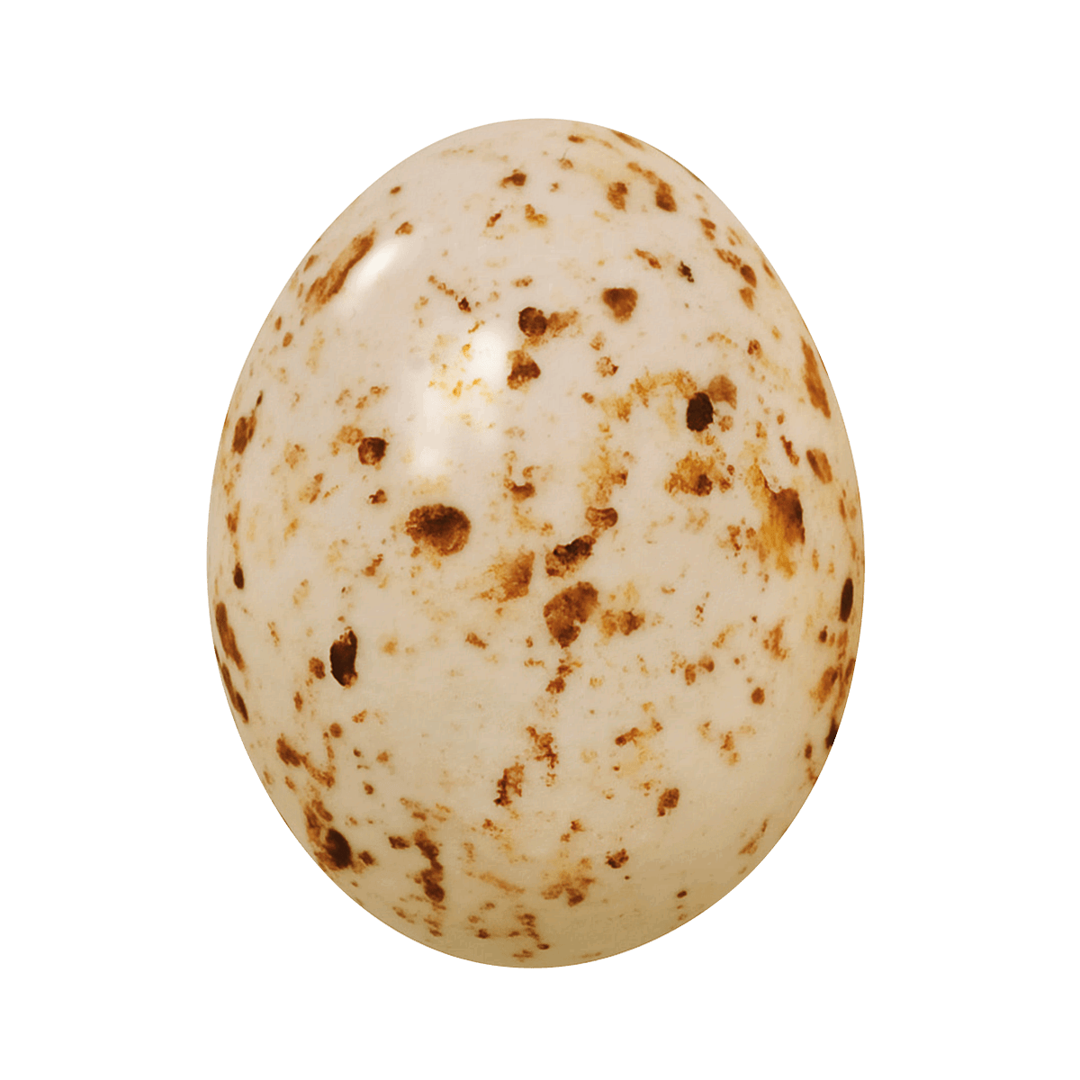 Oschätzchen Möweneier ZB Karamell & Fleur de Sel 10 Stück