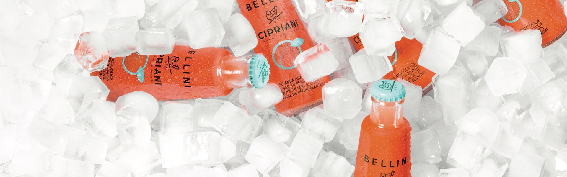 Virgini Bellini auf Eiswuerfeln