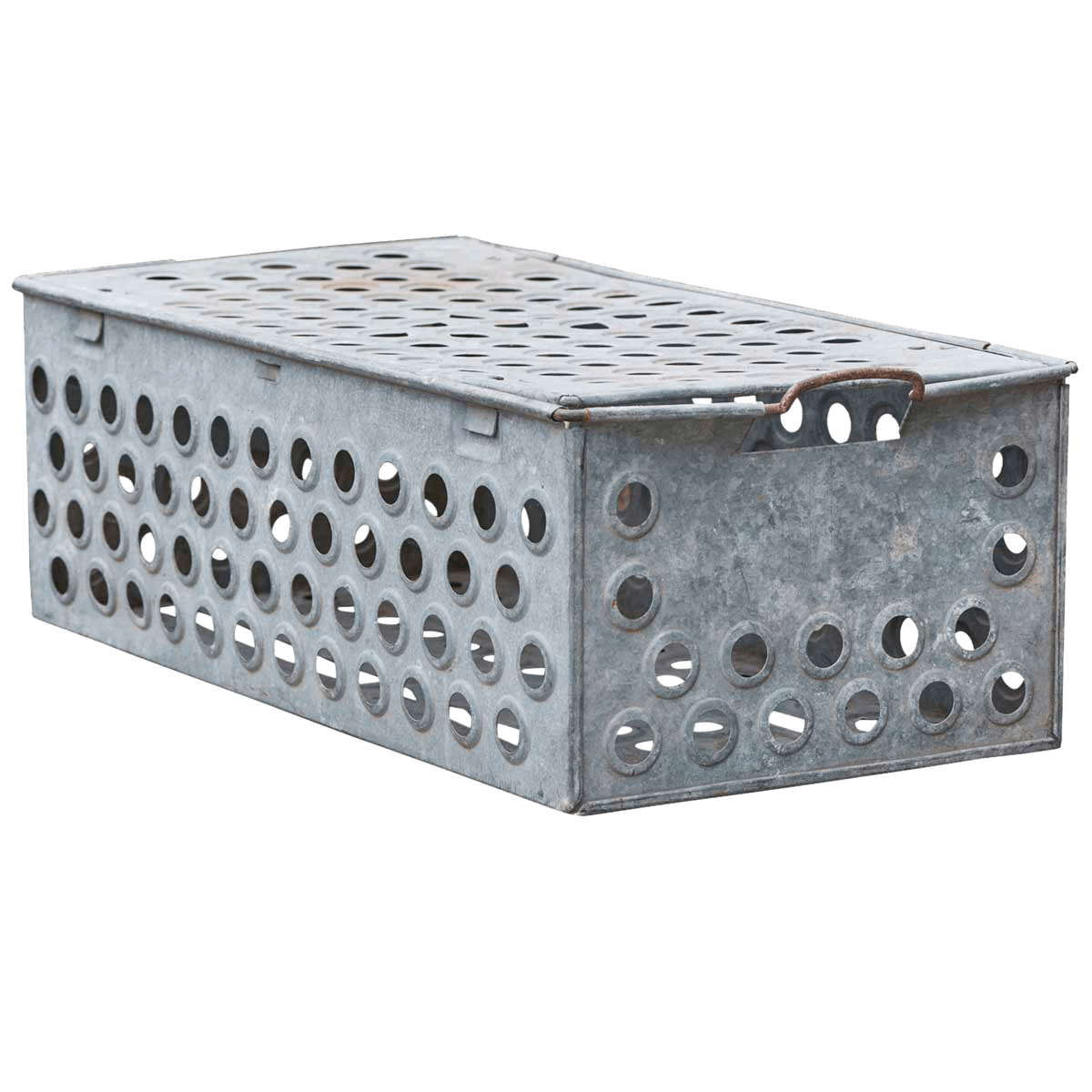 Oschätzchen Metallbox Lara 65x33x21 cm